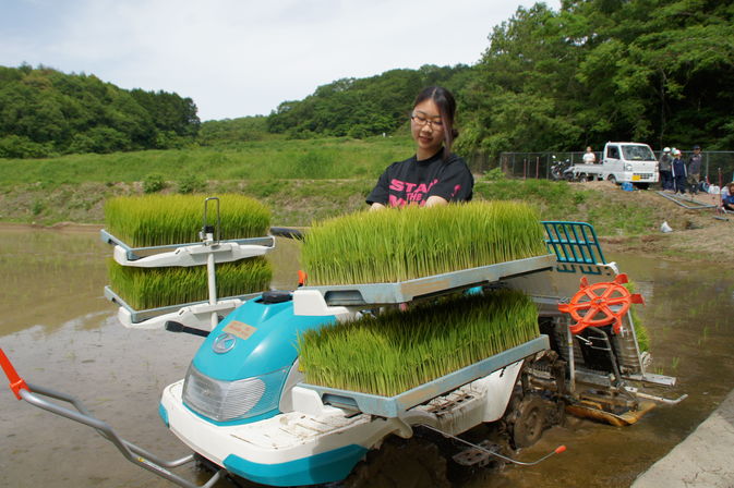 【夢米棚田プロジェクト】七島イの植付け作業と機械を使用した田植えを体験しました。