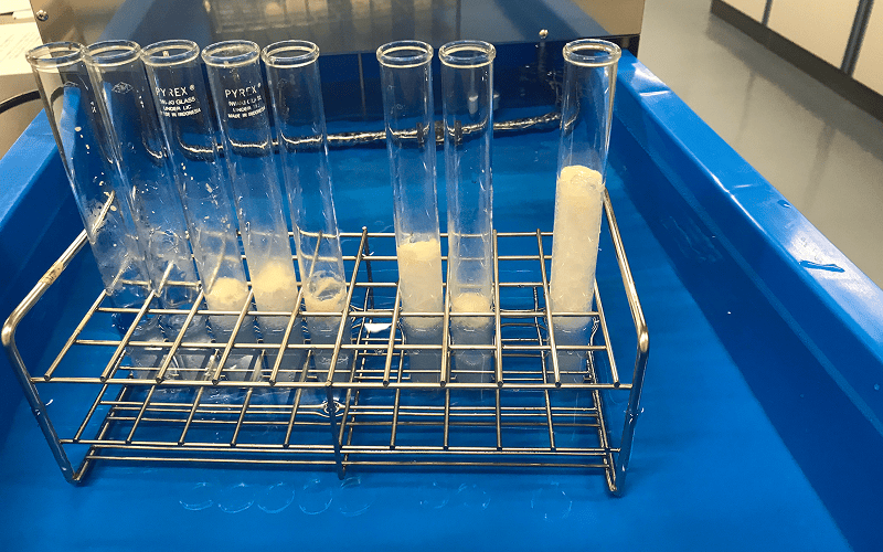 発酵食品学科 イメージ1